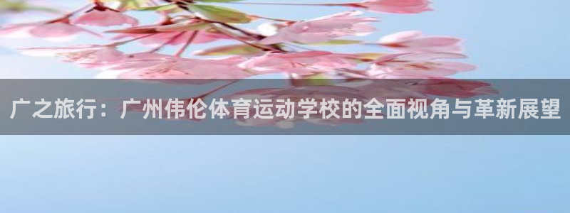 斗体育