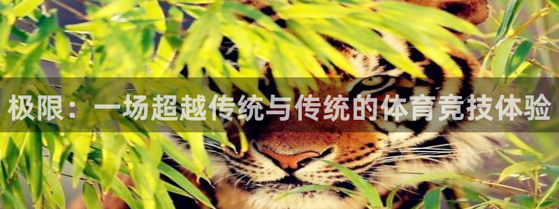 斗体育官网：极限：一场超越传统与传统的体育竞技体验