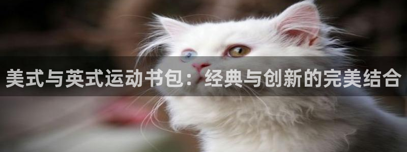 斗体育篮球直播：美式与英式运动书包：经典与创新的完美结合